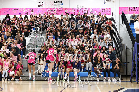 WHS_vb-pink out_52