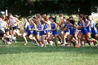 WHS_cc-g_02