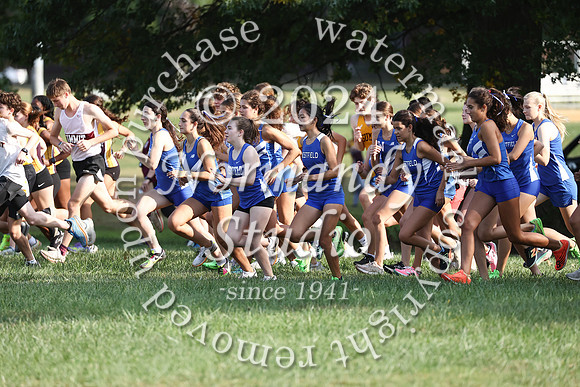 WHS_cc-g_02