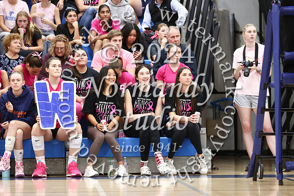 WHS_vb-pink out_28