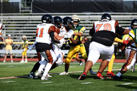 SVL_fb-f_20