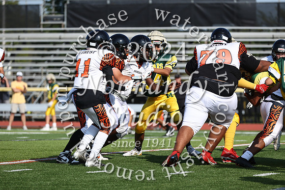 SVL_fb-f_20