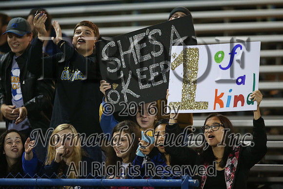 CHS_060_so-g