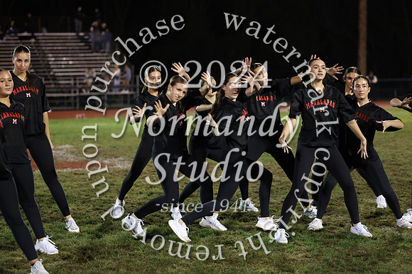 MNP_dt_39
