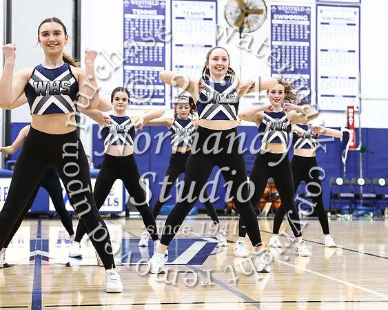 WHS_dt_061