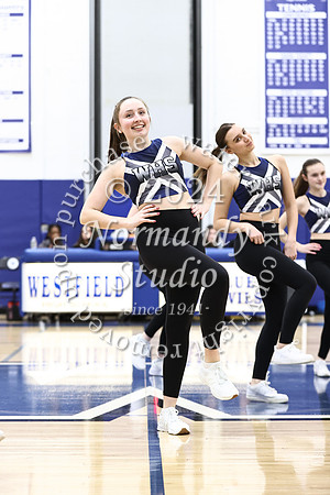 WHS_dt_050