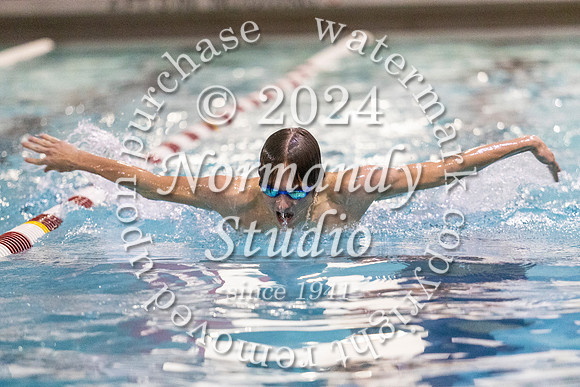 WMC_sw-b_85