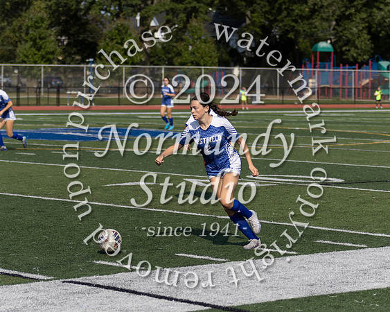 WHS_so-g_27