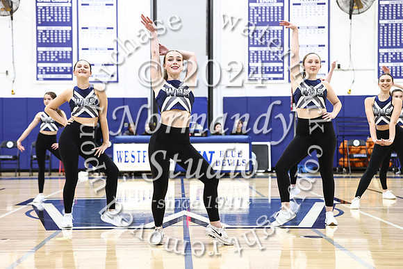 WHS_dt_022