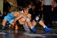 CHS_wr_20