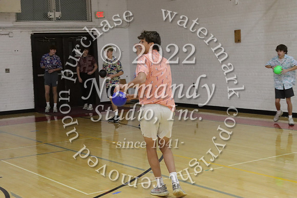 BER_dodgeball_061