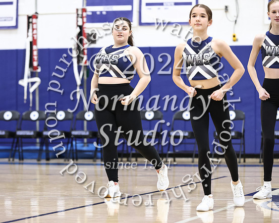 WHS_dt_060