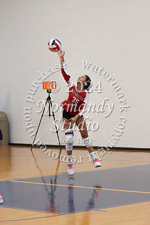 MSM_vb-g_25