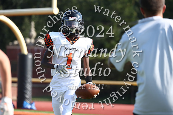 SVL_fb-f_41