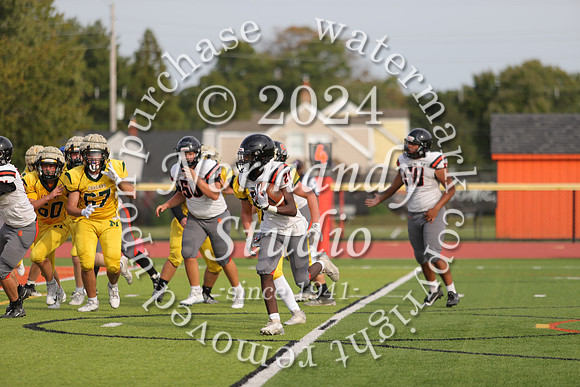 SVL_fb-j_29