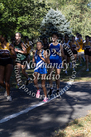 WHS_cc-g_20