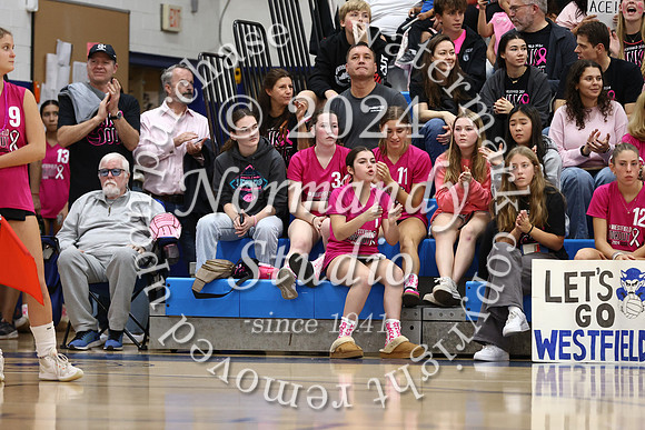 WHS_vb-pink out_46