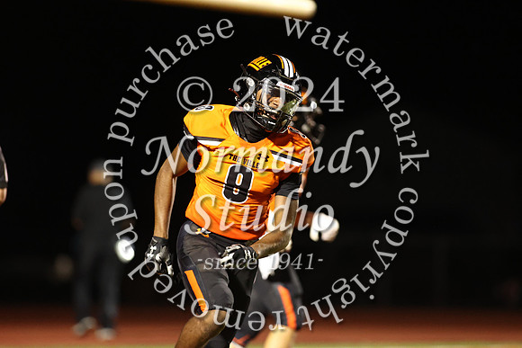 SVL_fb_81