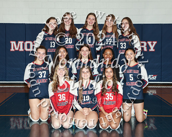 MSM_vb-v-t_03