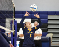 DVH_vb-g_22