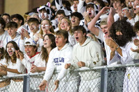 VOR_fans_01