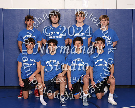 WHS_wr-srs_17