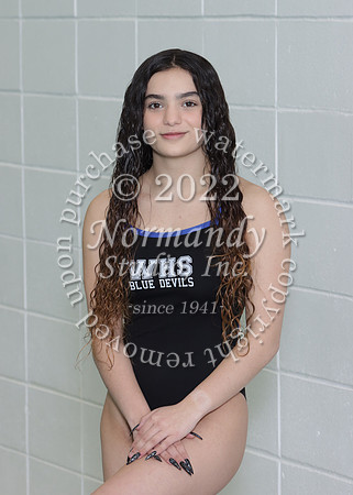 WHS_sw-g-ind_9850