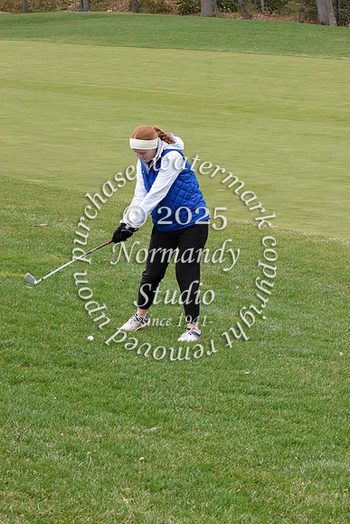 WHS_go-g_39
