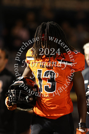 SVL_fb_28