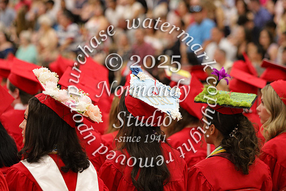 LIB_candids_31