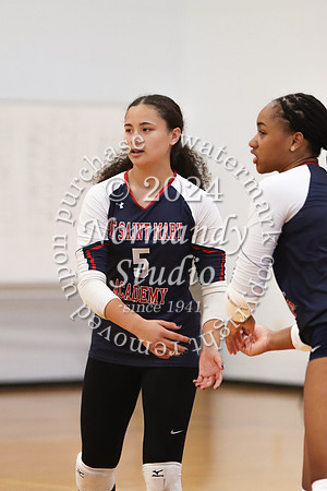 MSM_vb-g_51