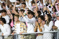 VOR_fans_08