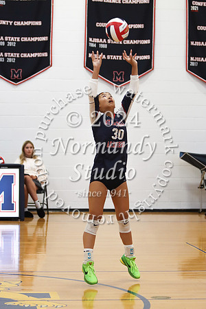 MSM_vb-g_15