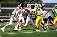SVL_fb-f_16