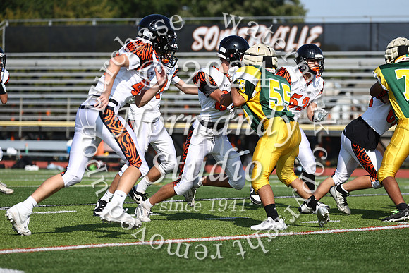 SVL_fb-f_16