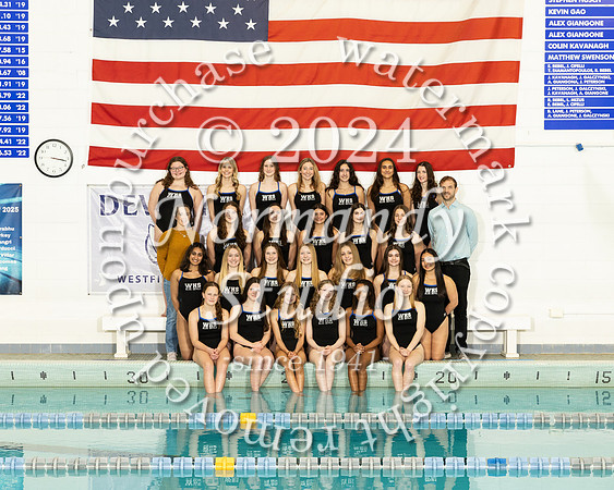 WHS_sw-g-t_08
