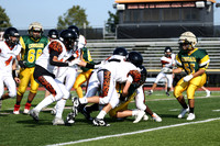 SVL_fb-f_07
