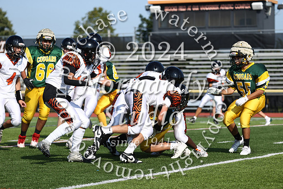 SVL_fb-f_07