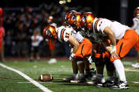 SVL_fb_02