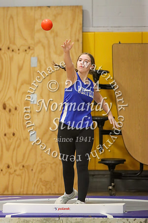 WHS_tr-g_11