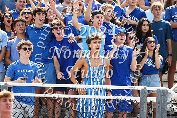 WHS_fans_27