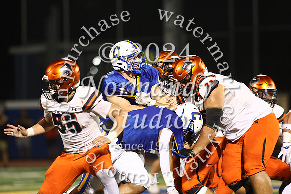 SVL_fb_28