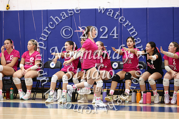 WHS_vb-pink out_66