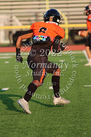 SVL_fb_38