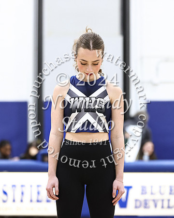 WHS_dt_004