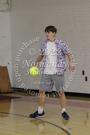 BER_dodgeball_070