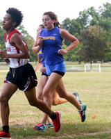 CHS_13_cc-g