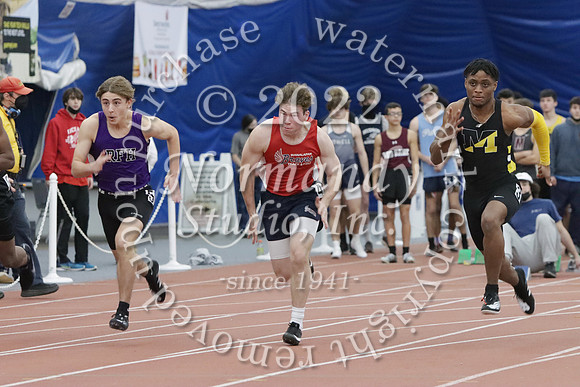 MNP_077_wt-b