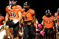 SVL_fb_15
