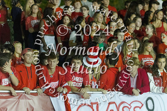 BER_fans_06